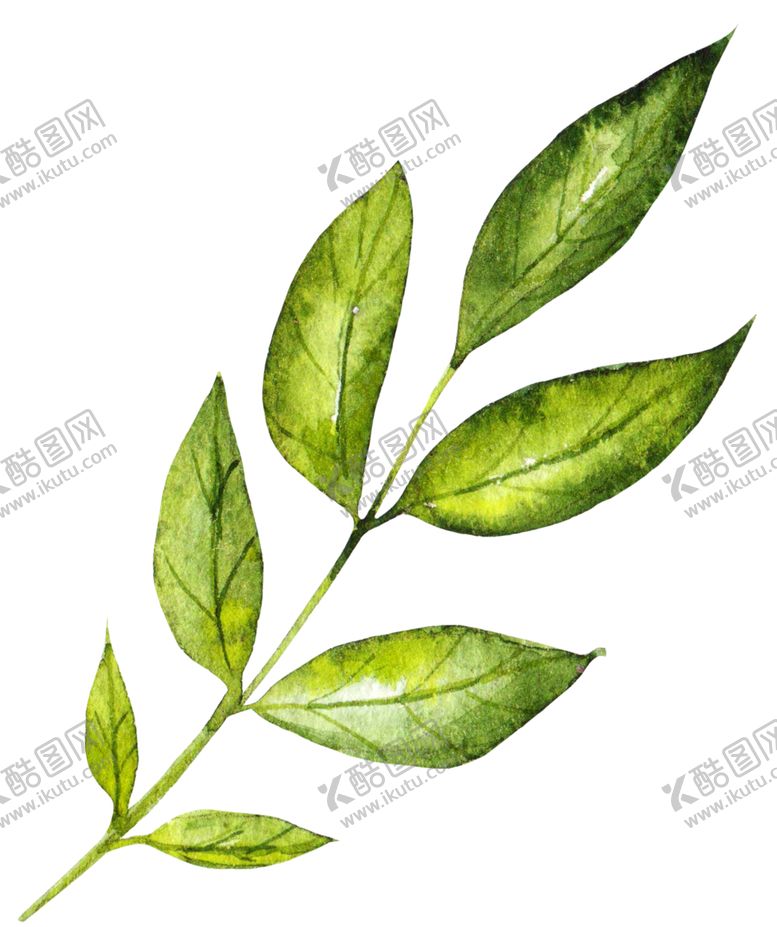 编号：16631806142350231144【酷图网】源文件下载-水彩绿叶绘画图案