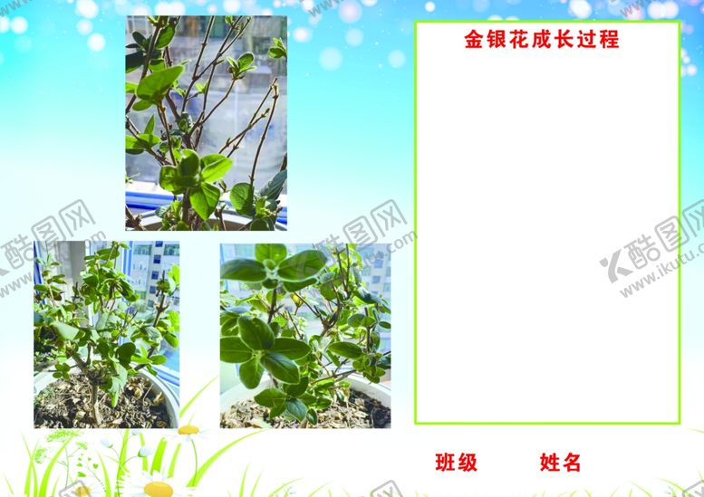 编号：43381103150231186760【酷图网】源文件下载-成长过程