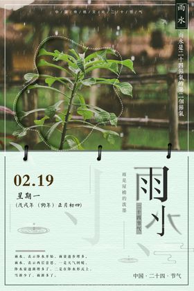 小清新雨水节气海报