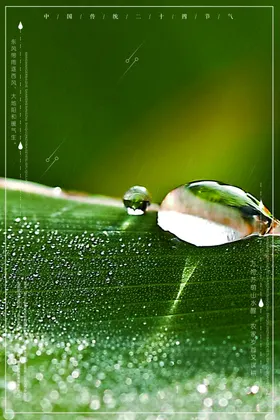 小清新背景