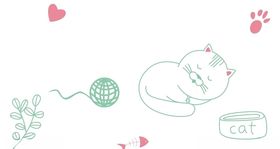猫咪