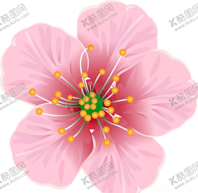 编号：36136110220909038917【酷图网】源文件下载-樱花