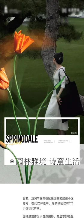 地产低密洋房价值点长图