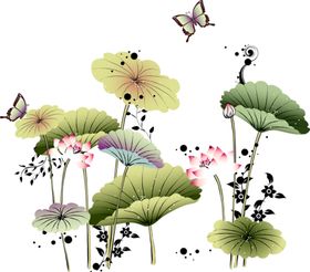 荷花