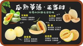 哈密瓜吊牌