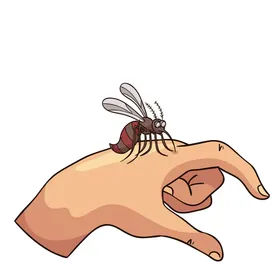 蚊子相关
