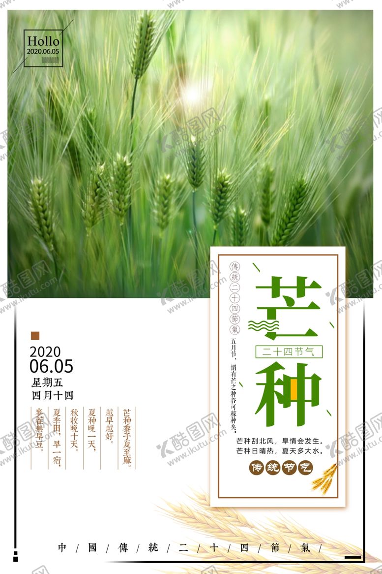 编号：66915007010430409006【酷图网】源文件下载-芒种