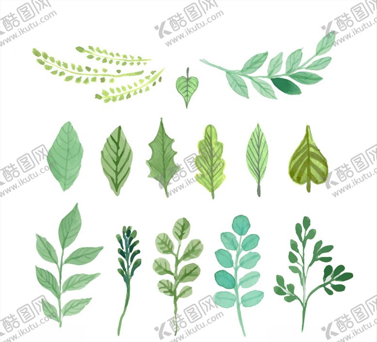 编号：82500110291457142964【酷图网】源文件下载-矢量手绘树叶