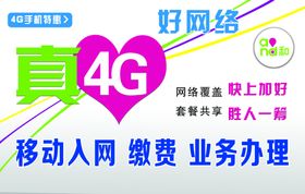 入网新人礼