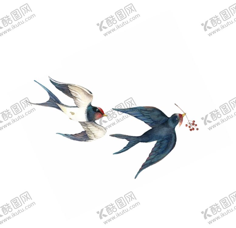 编号：26122407092255548498【酷图网】源文件下载-燕子