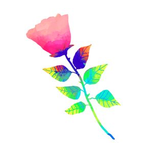 鲜花装饰