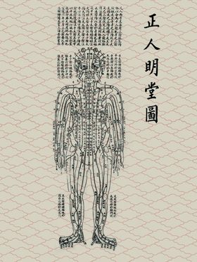 中医--正人明堂图