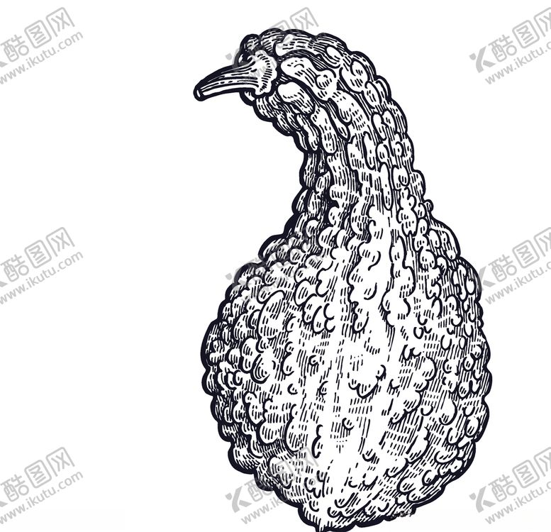 编号：35339710070231258764【酷图网】源文件下载-蔬菜