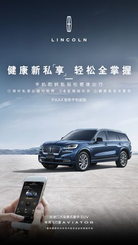 林肯掌上APP车图