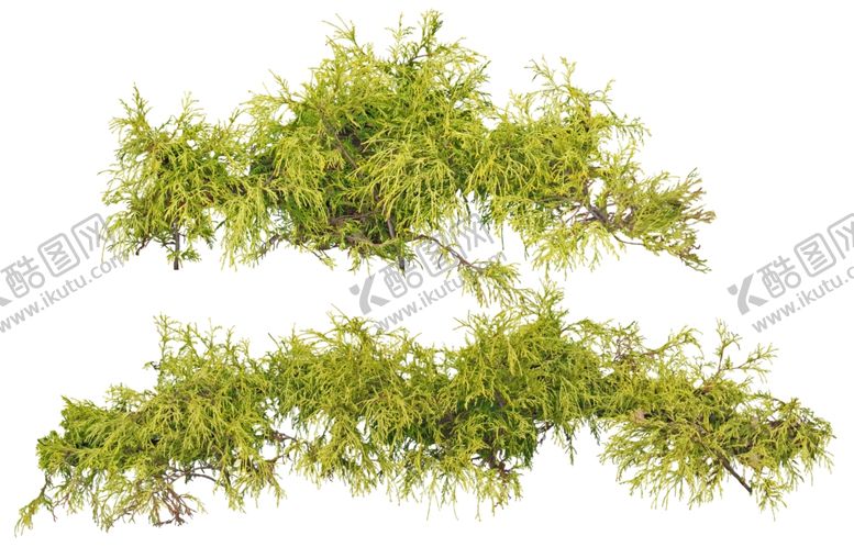 编号：10019509190508431239【酷图网】源文件下载-免扣植物素材图片