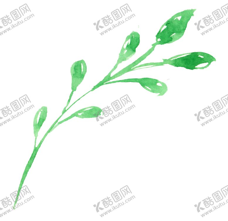 编号：24623209260454019217【酷图网】源文件下载-手绘叶子