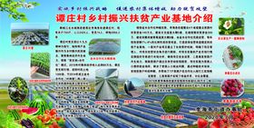 蔬菜大棚基地简介