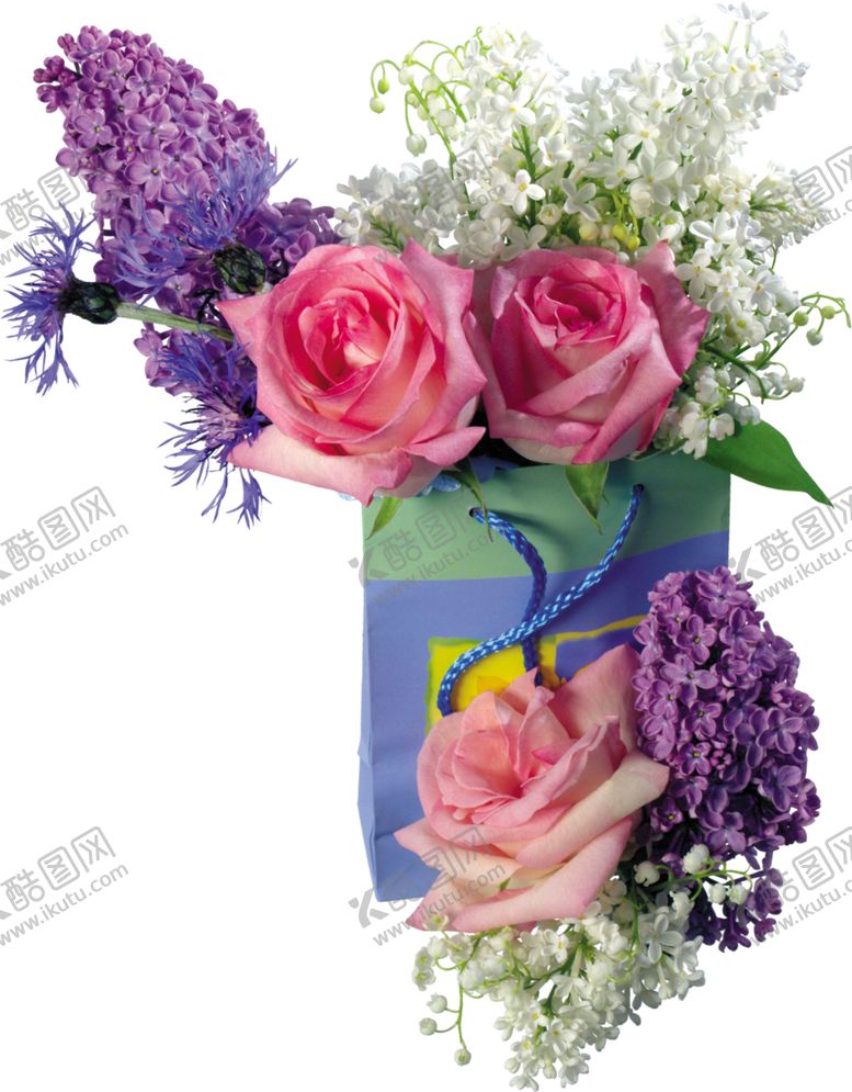 编号：54872405090604302176【酷图网】源文件下载-丁香花
