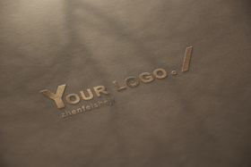 logo样机
