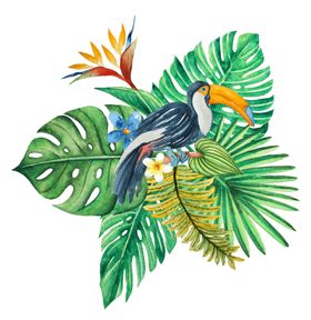 清新水彩植物花朵插画