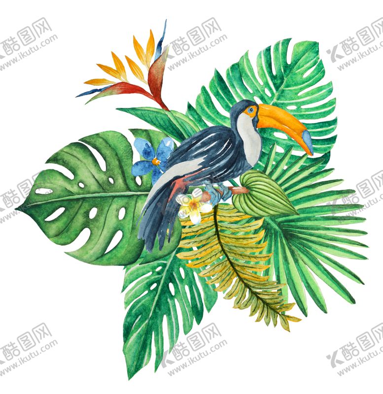 编号：79771210241643491117【酷图网】源文件下载-清新水彩植物花朵插画