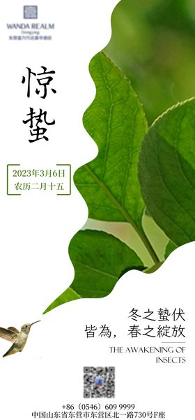 惊蛰节气海报树叶二十四剪影