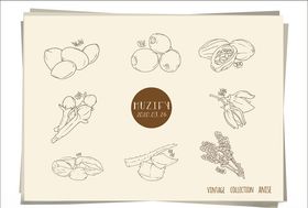 8款入草本植物手绘稿