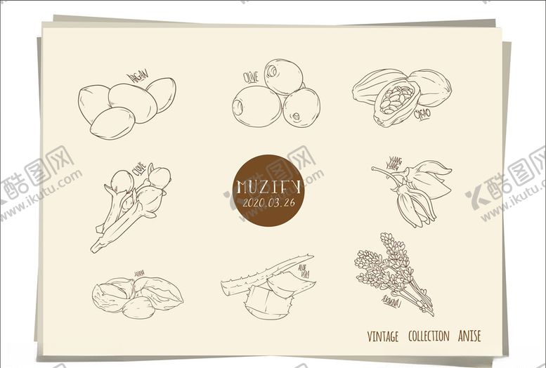 编号：41836310301240221900【酷图网】源文件下载-8款入草本植物手绘稿