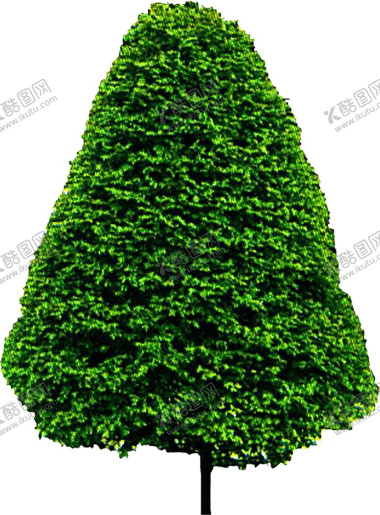 编号：96810210311849025779【酷图网】源文件下载-绿色装饰