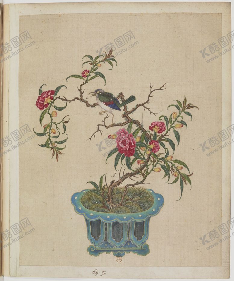 编号：54859705050444531474【酷图网】源文件下载-盆景花鸟