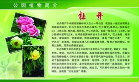 公园植物简介