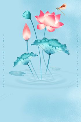 荷花