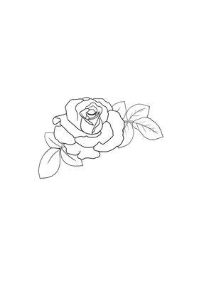 玫瑰花