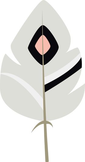 羽毛 素材