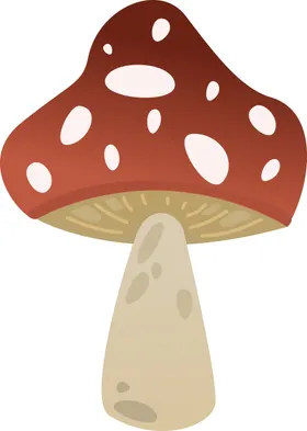 蘑菇
