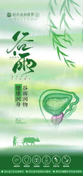男科谷雨节气海报