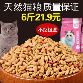 猫粮宠物用品黄色主图