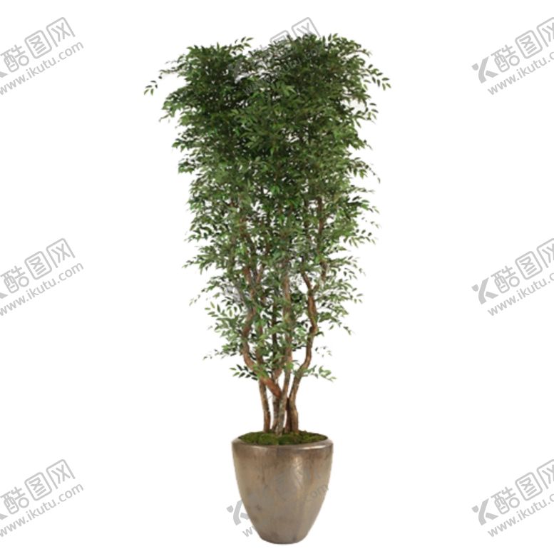 编号：66491509132129536478【酷图网】源文件下载-免抠背景花草树木