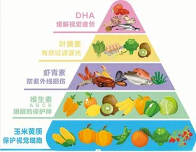 食物金字塔保护视力的食物