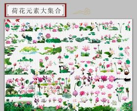 荷花素材大集合