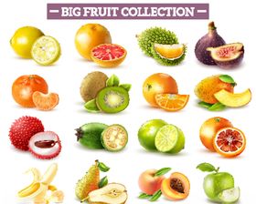 水果矢量图