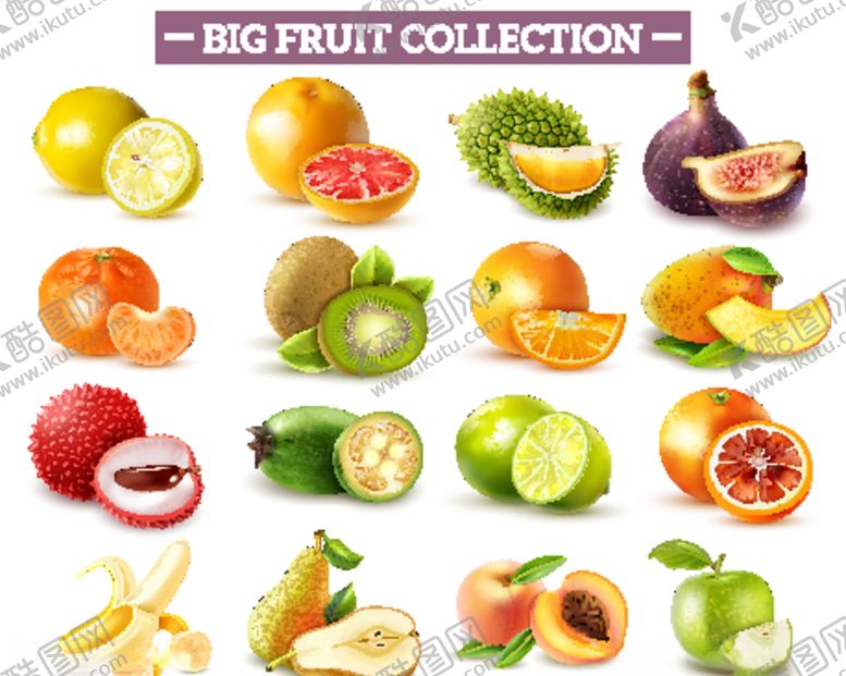 编号：84390209261652521572【酷图网】源文件下载-水果矢量图