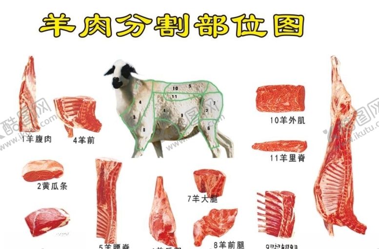 编号：38806406280148226044【酷图网】源文件下载-羊肉分割部位图