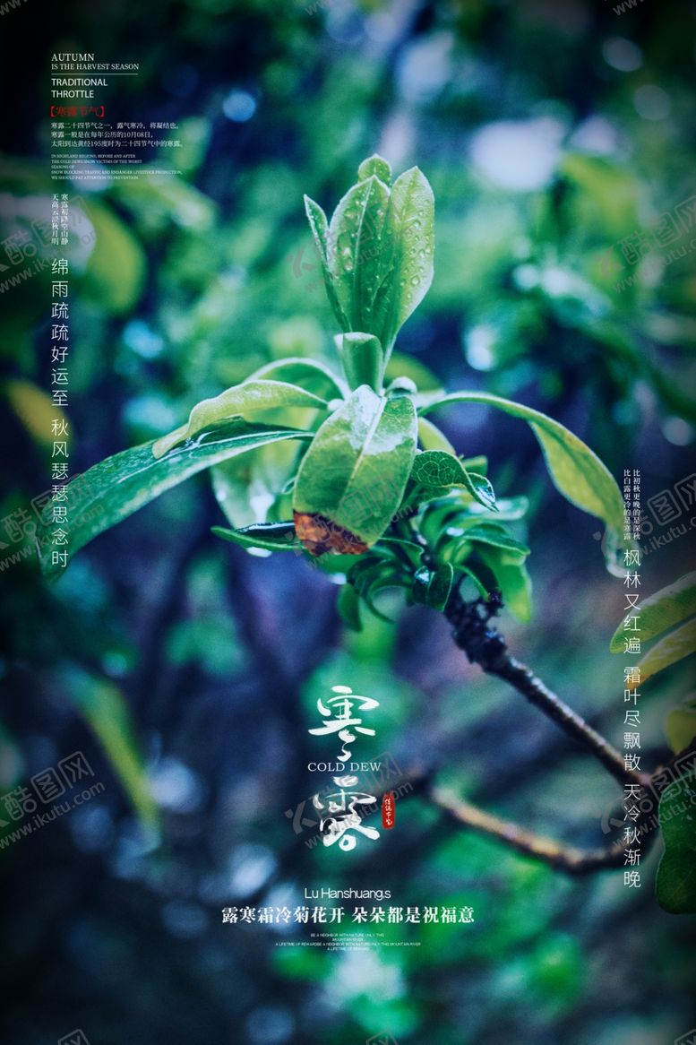 编号：79099909232210397775【酷图网】源文件下载-寒露海报