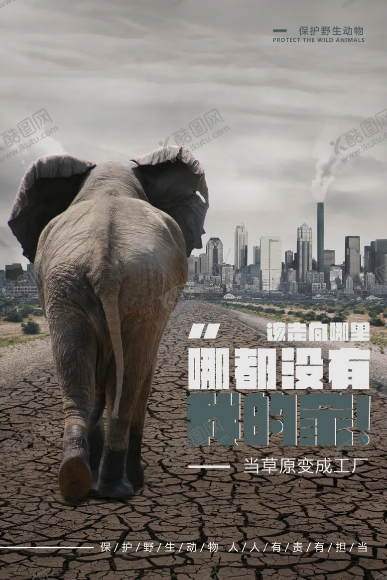 编号：54172505062134201717【酷图网】源文件下载-保护野生动物