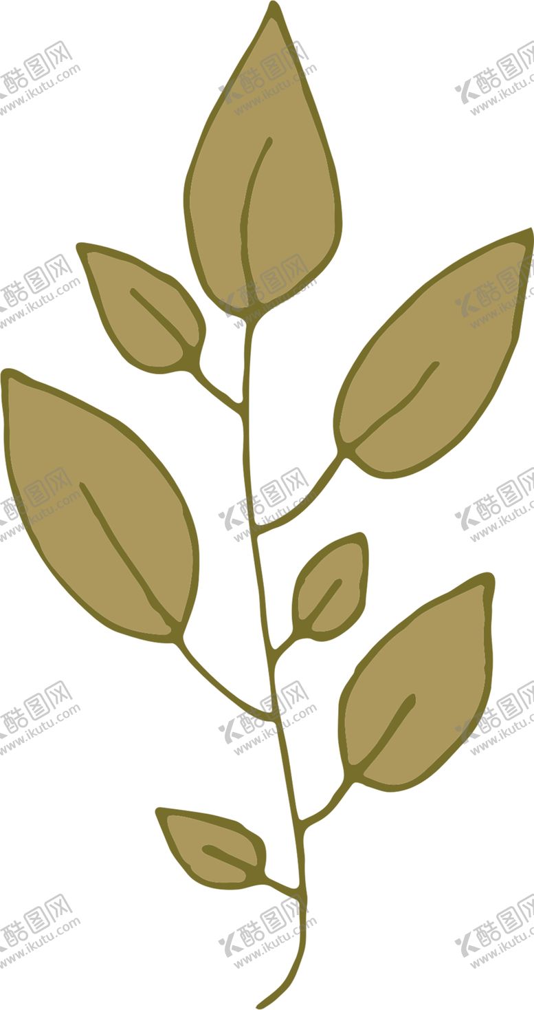 编号：81629805121224484126【酷图网】源文件下载-手绘植物
