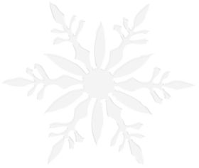 雪花