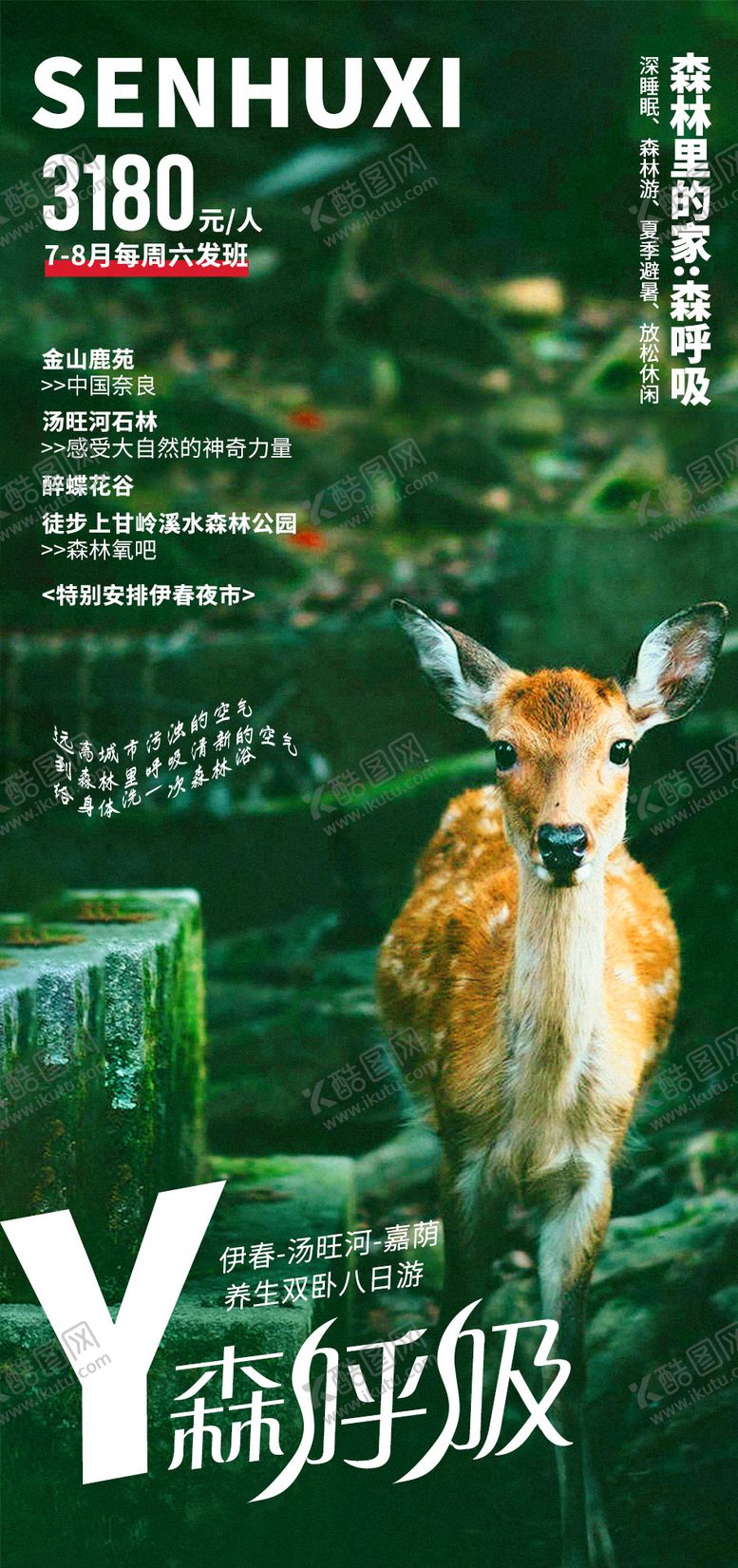 编号：45704807211258292720【酷图网】源文件下载-森呼吸旅游海报