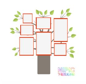 小树照片墙