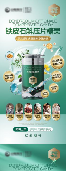 铁皮石斛护肝片